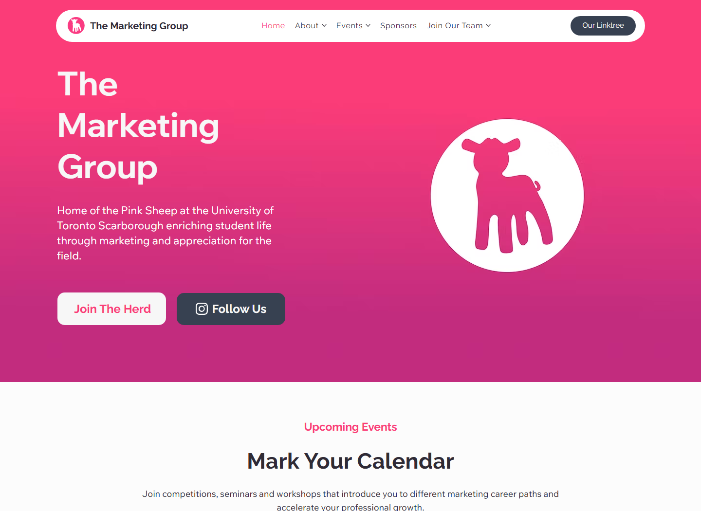 TMG Website Redesign: From Static Brochure to Task-Oriented Experience — hero image
