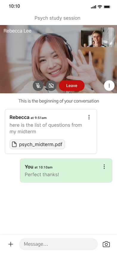 In-meeting surface with chat, file sharing, and camera — screenshot